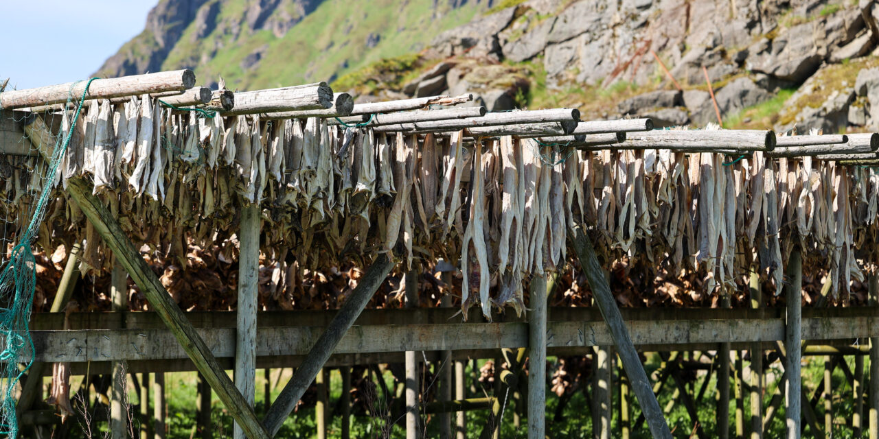 Leserinnlegg: Fiskeripolitikk uten ansvar for kysten