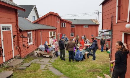 Har du sett fjøsnissen på Tuomainengården?