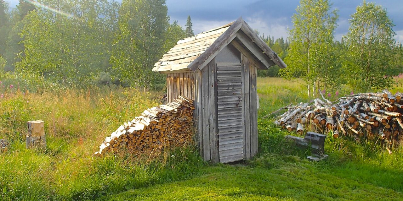 Utedo og ved • Ulkohyysikkä  ja polttopuita