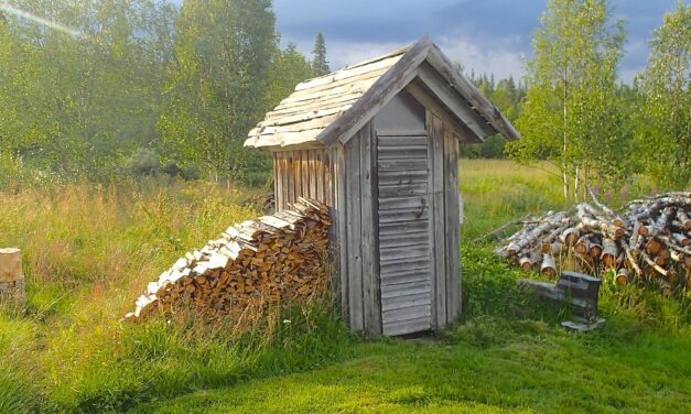 Utedo og ved • Ulkohyysikkä  ja polttopuita